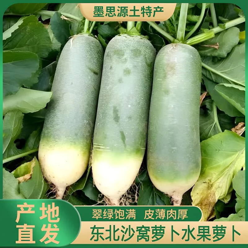 东北大地新鲜水果萝卜沙窝萝卜生吃水果型现拔现卖5/9斤顺丰包邮