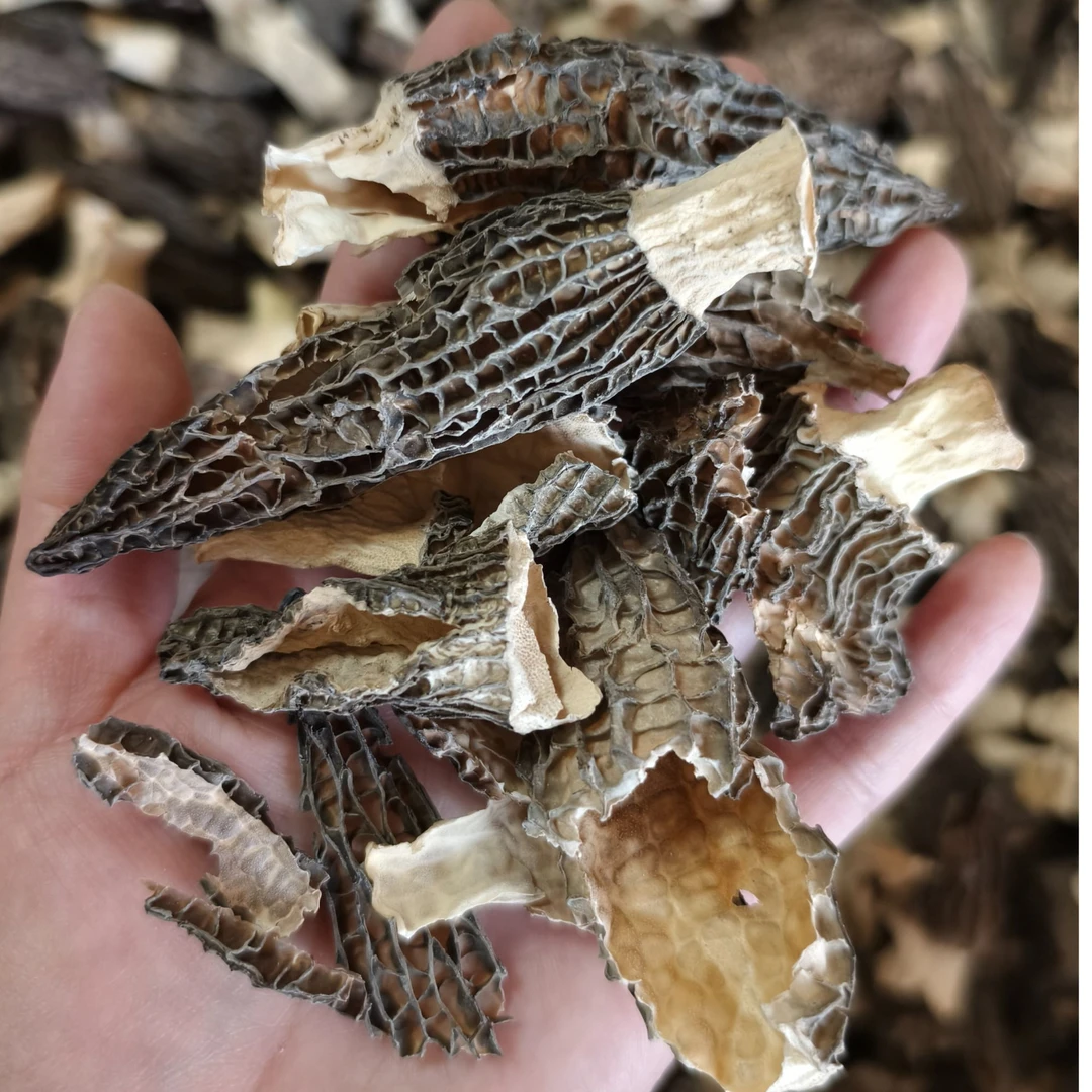 破碎羊肚菌干货, 包包子包饺子煲汤用,介意勿拍