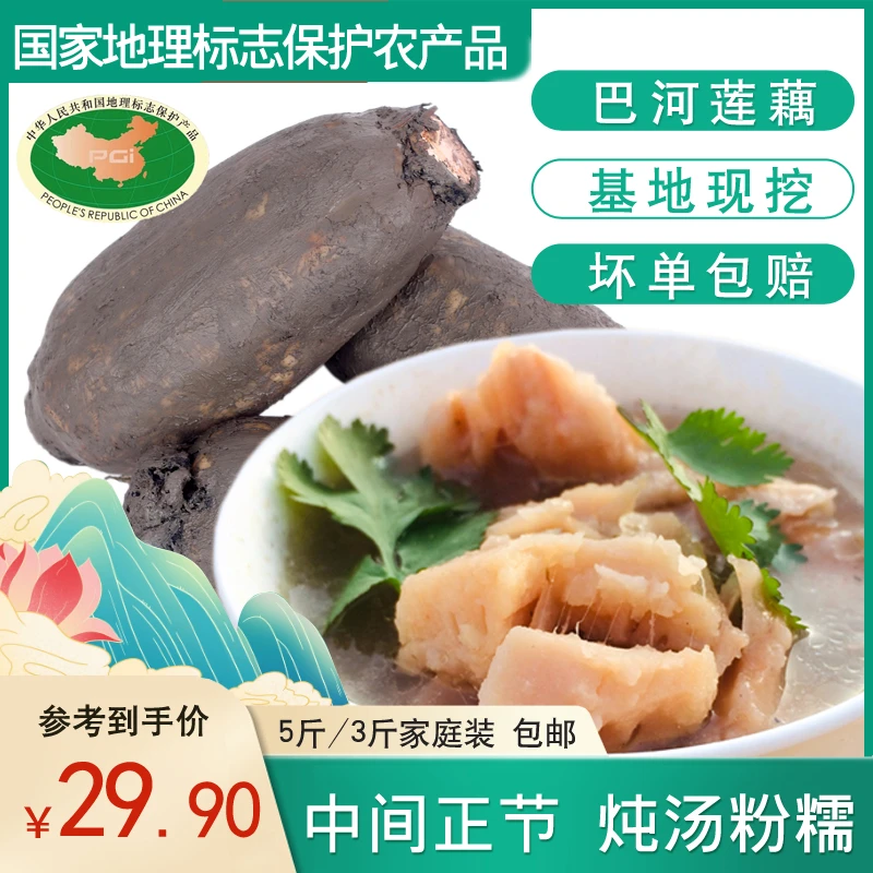 湖北巴河莲藕炖汤粉藕煲汤糯藕面藕地标非洪湖莲藕新挖产地直销