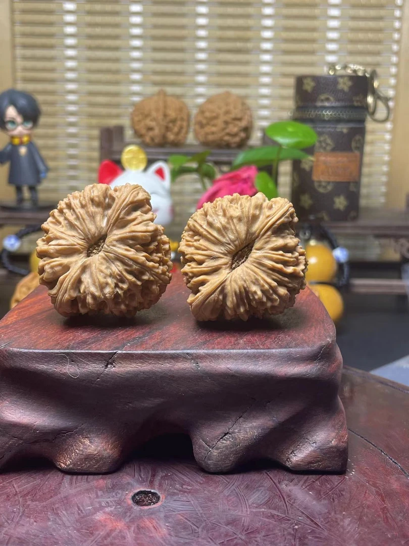 随机一对练手文玩核桃