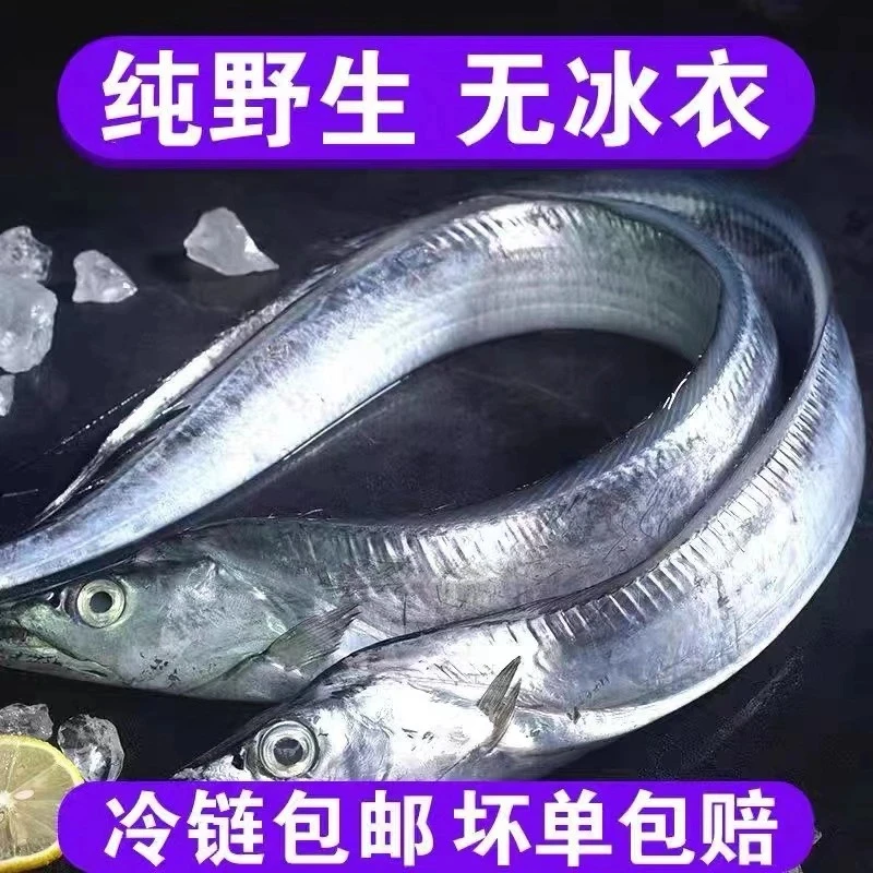 ZZ整条带鱼 买6条送8条到手共14条 5斤 3两-4两/条 家庭实用装.
