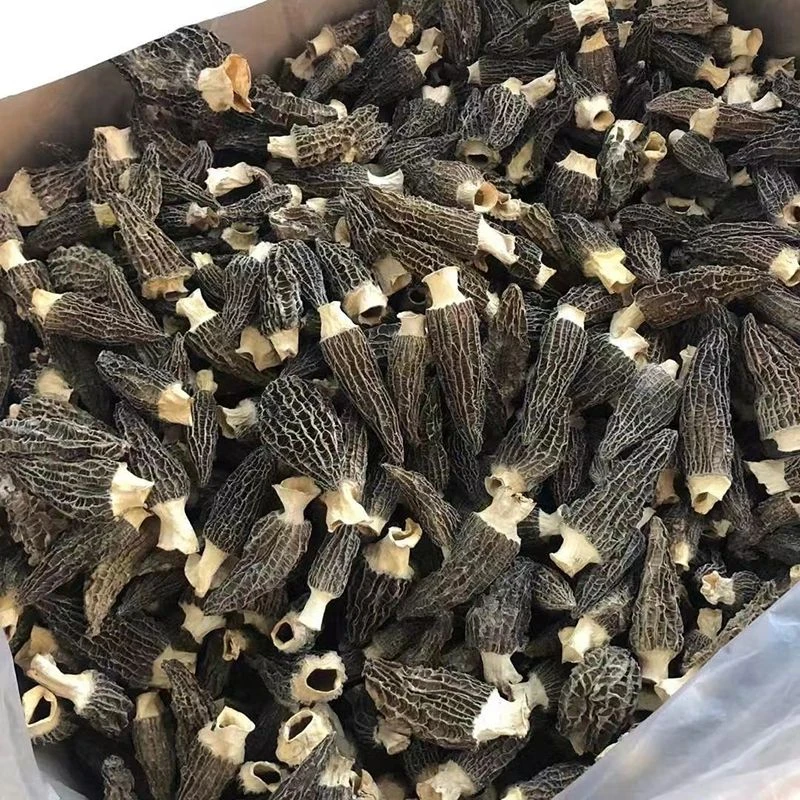 【菇里巴巴】羊肚菌干货特产羊肚菌煲汤乌鸡鸽子排骨汤营养滋补