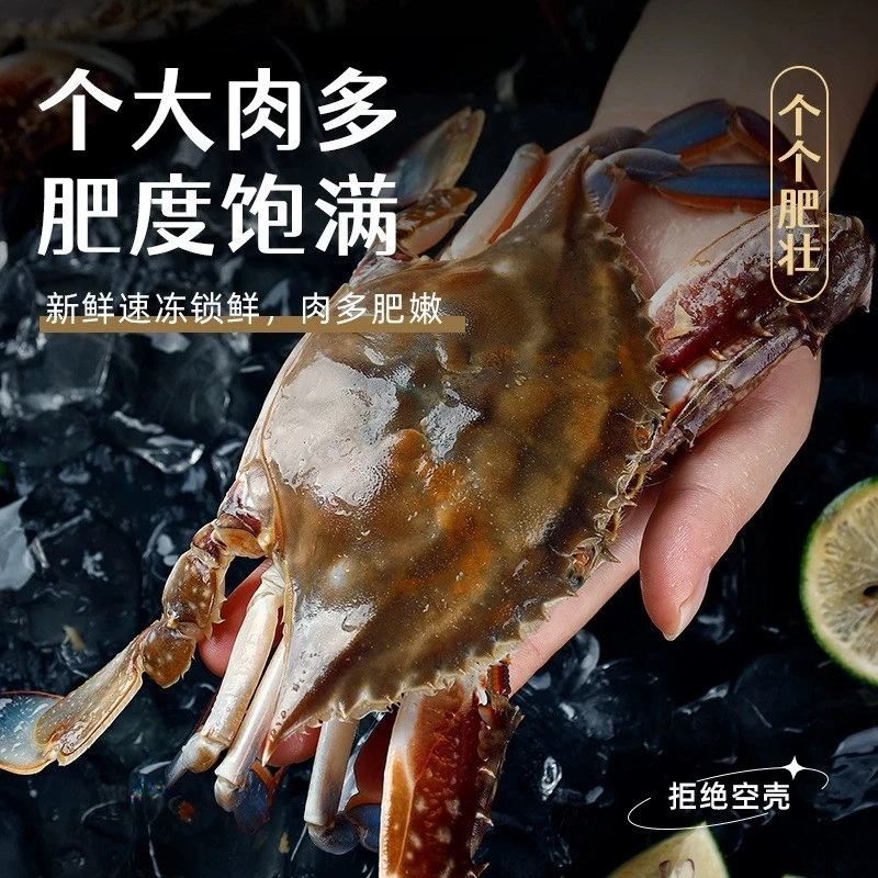 舟山海捕梭子蟹 肉母蟹 3-4两/只 净重3斤/箱 共7-9只 【冻蟹】