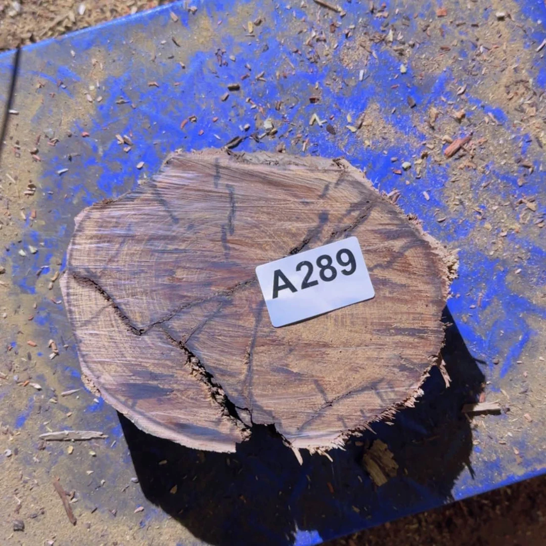 【闪购商品】檀木老挝黄花梨A289