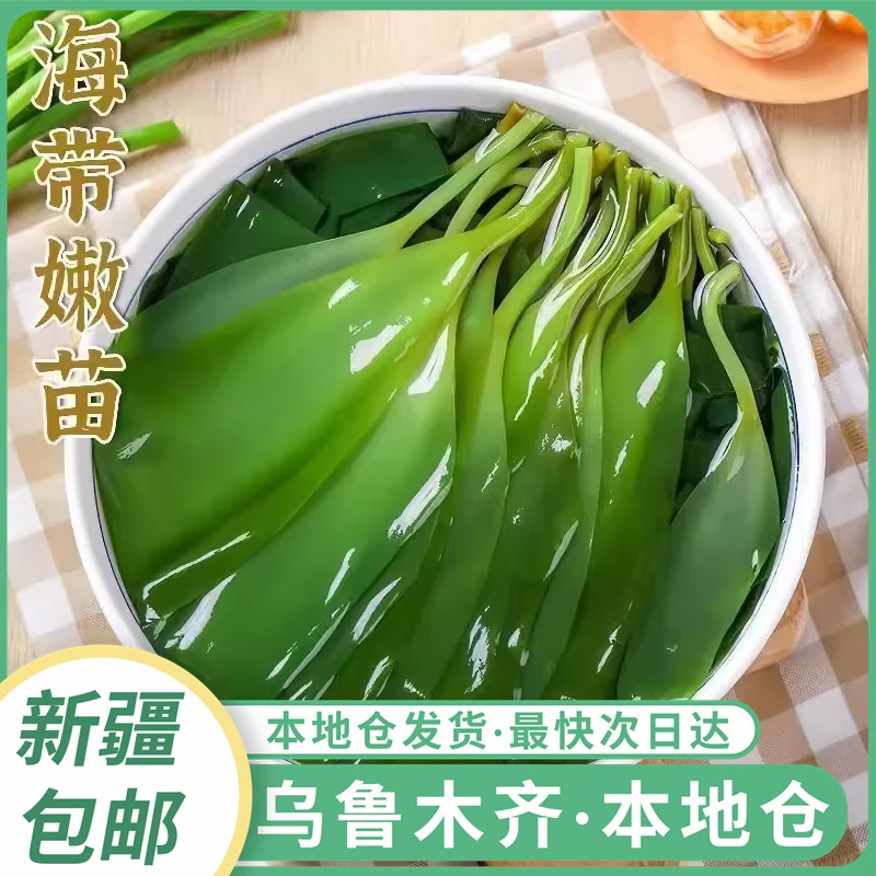 新疆包邮海带苗新鲜盐渍海带嫩苗小火锅食材干货裙带菜凉拌海带芽