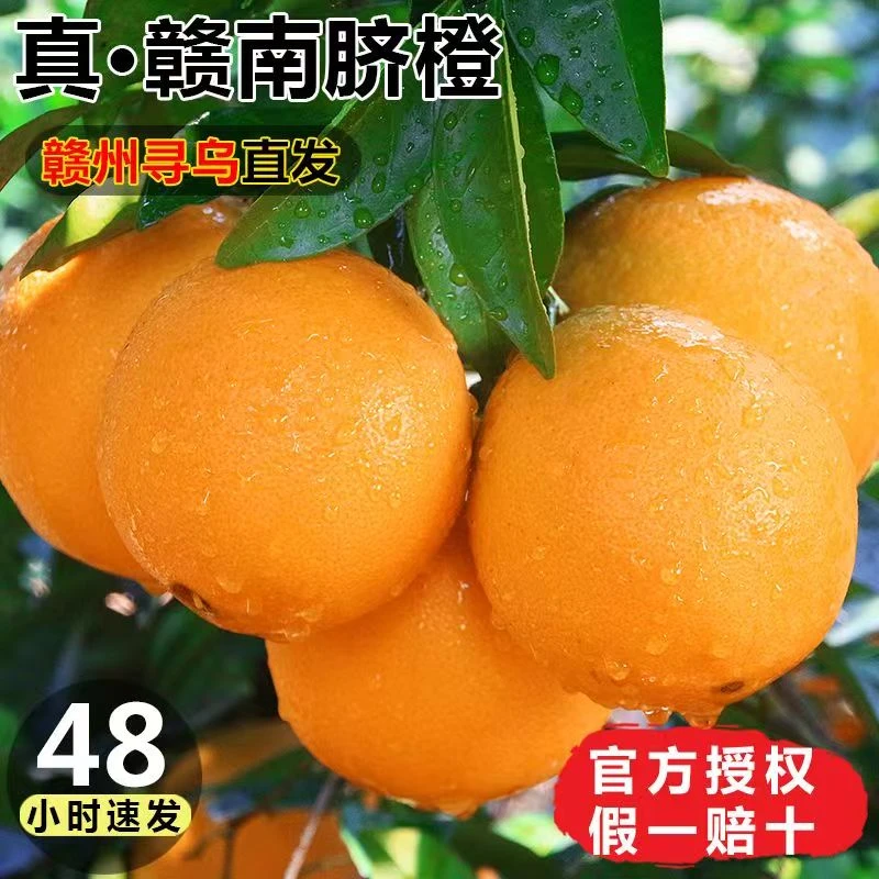 赣南脐橙新鲜采摘清甜多汁江西正宗孕妇水果皮薄汁多江西赣州直发