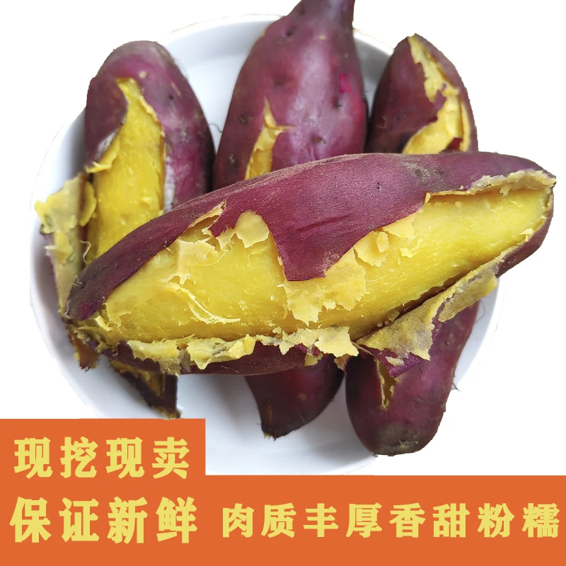 板栗薯粉中皇/广东高州香薯正宗红薯爆皮王沙地新鲜粉中凰5斤/9斤