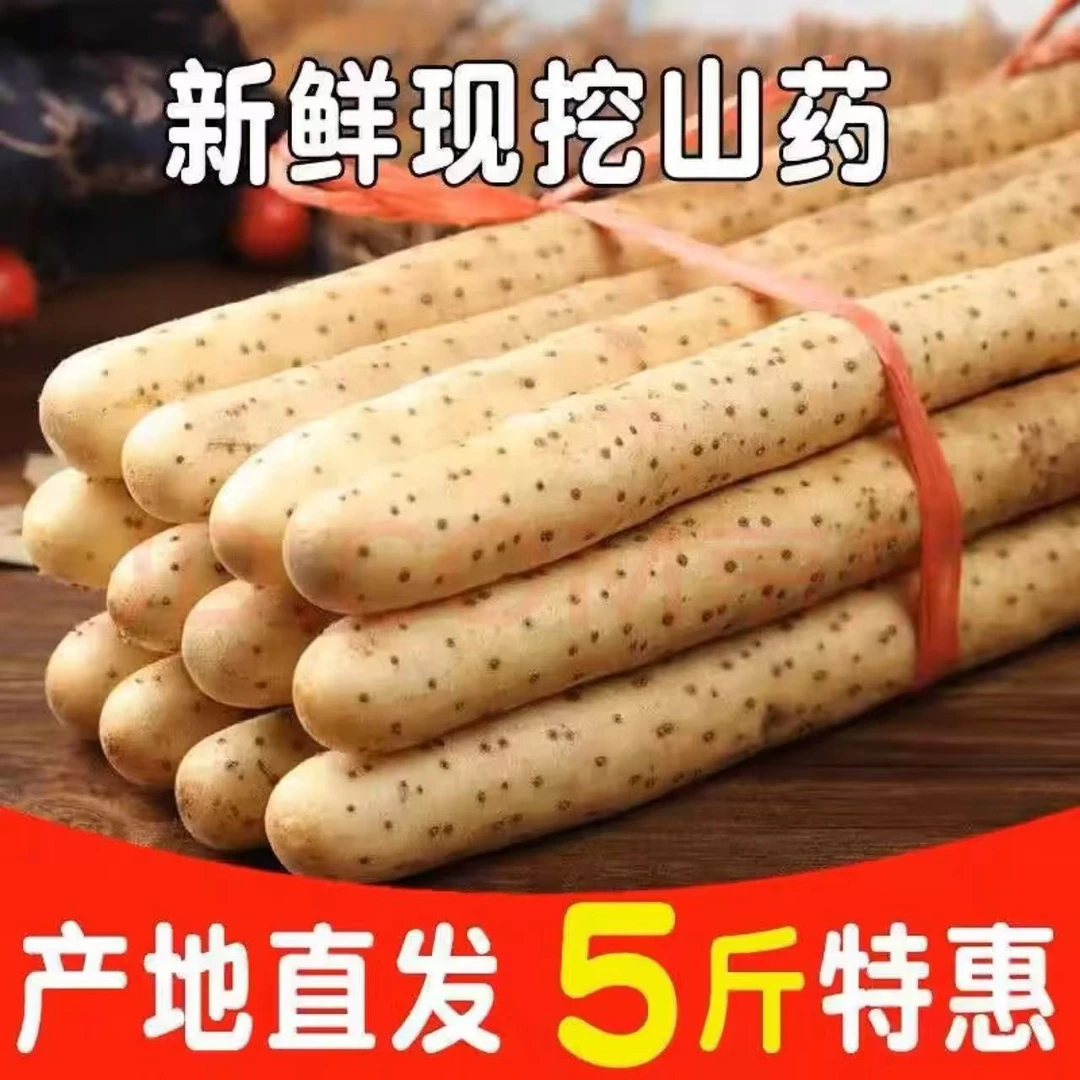 铁棍山药软糯香甜产地直发生鲜带土30-50厘米