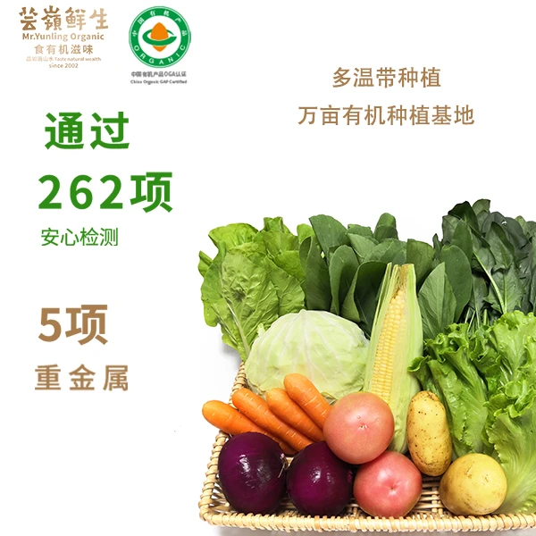 【有机蔬菜叶菜单品】芸岭鲜生云南高原儿童孕妈家庭新鲜营养菜品