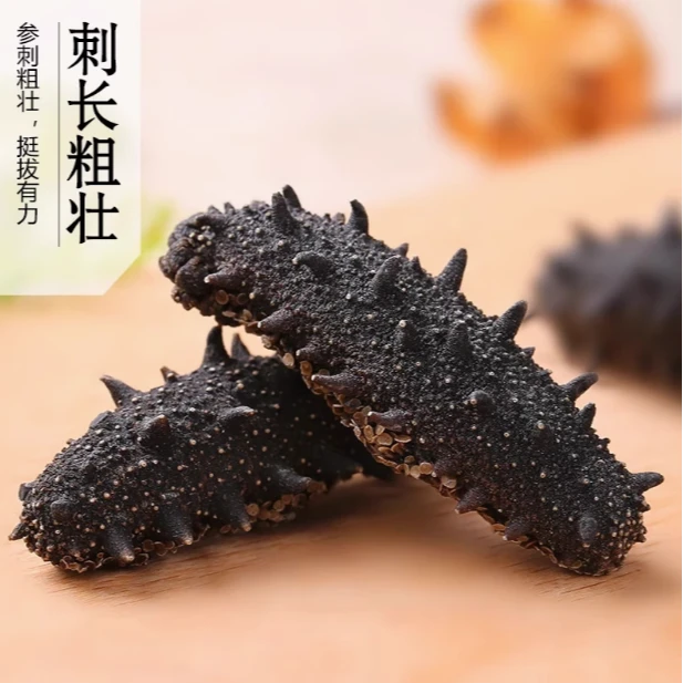 大连淡干海参 1斤包邮  品质美味