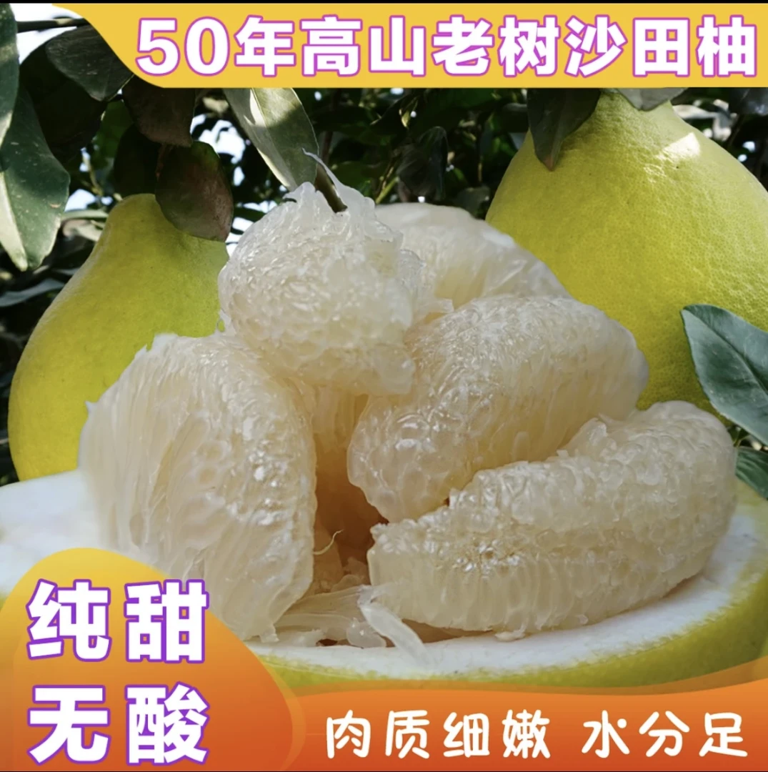 正宗梅州沙田柚  白心柚子老果树纯甜无酸10-100斤