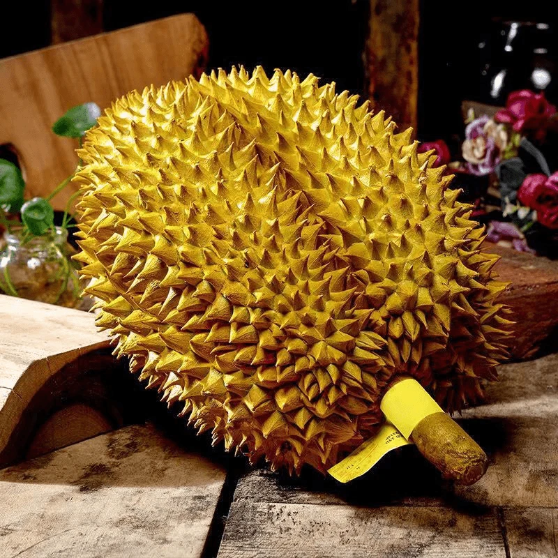 一物一拍泰国树熟金枕榴莲 顺丰包邮