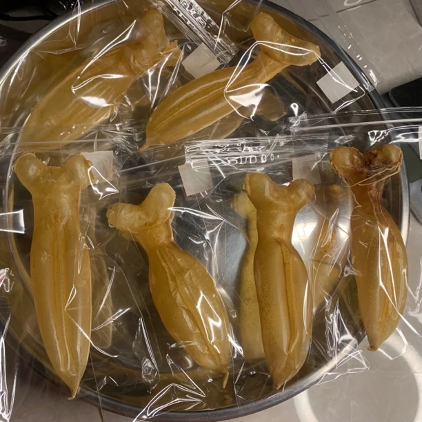 七夕好礼 马L蜘蛛公收藏精品老货 鱼胶花胶直播下单改价