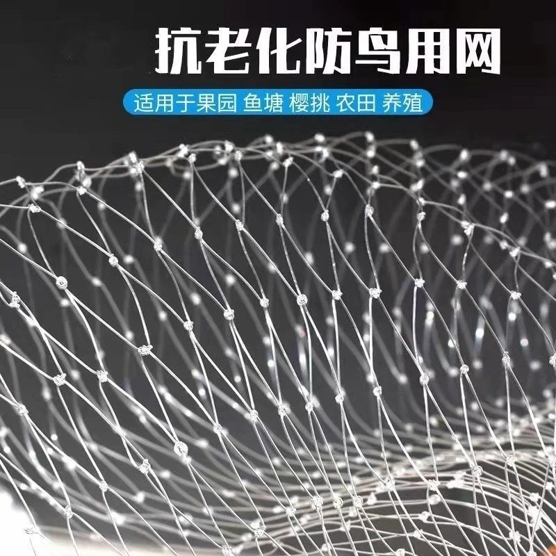 果园防鸟网爬藤网防雹防鸟害网具大棚防护耐用网养殖网防鸟用的网