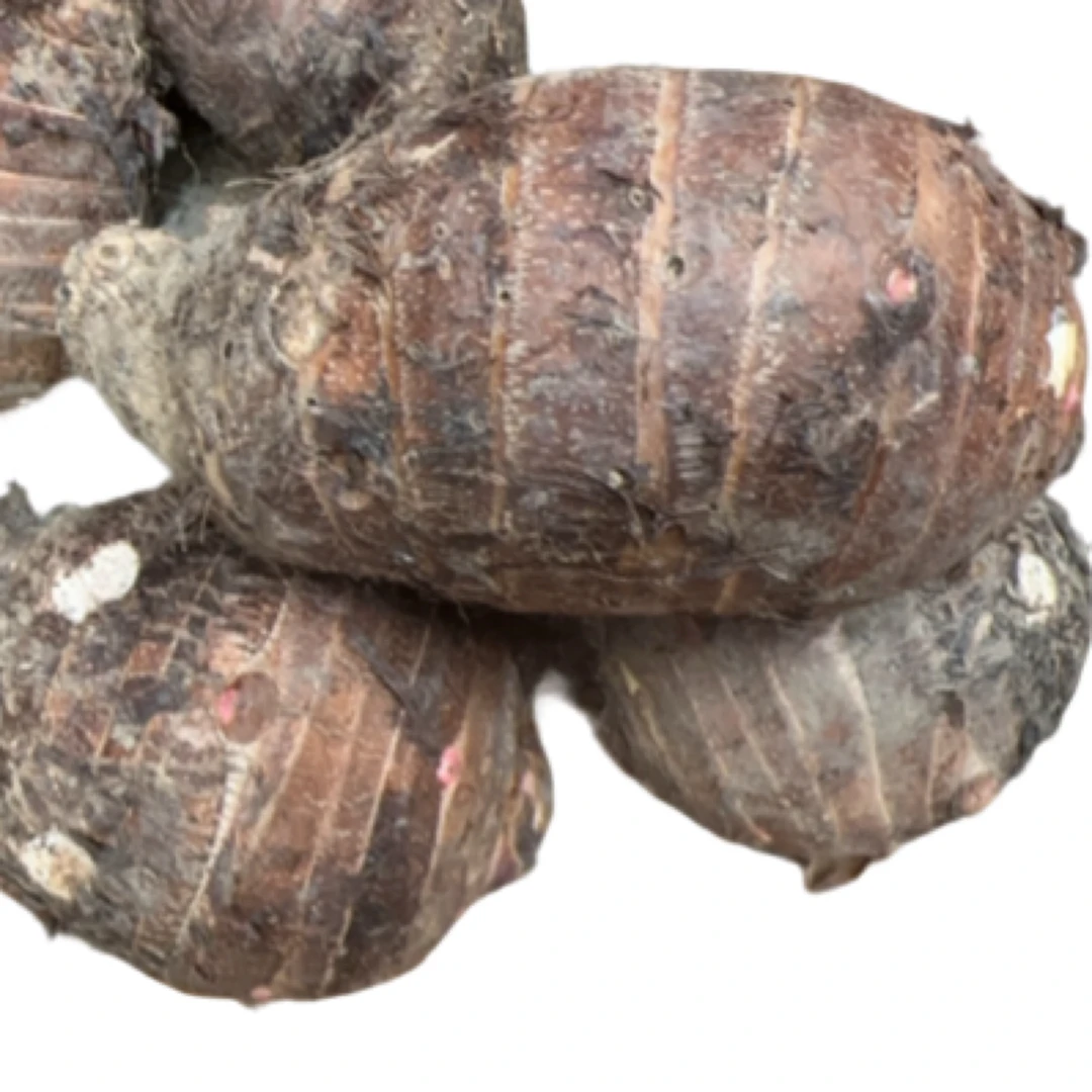 江永香芋现挖大芋头