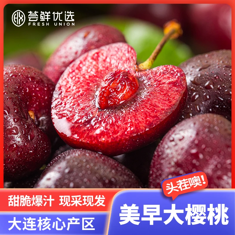 【升级活动】大连美早大樱桃脆甜爆汁肉厚多汁顺丰包邮现摘现发