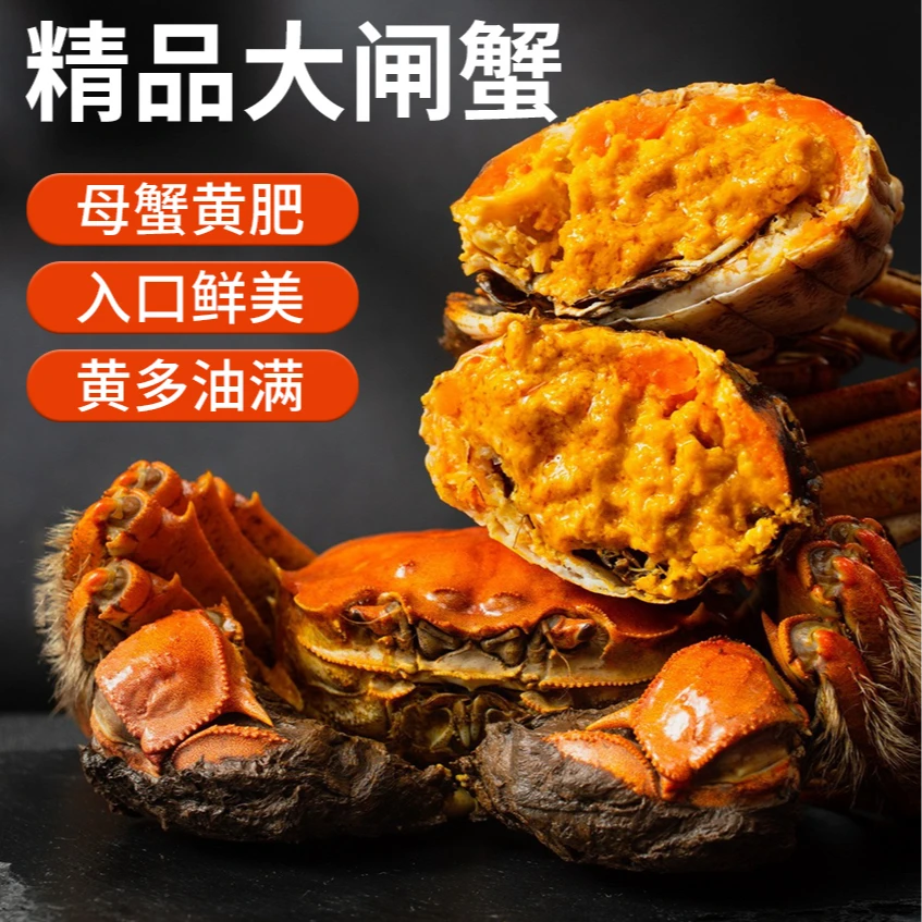 【活蟹】大闸蟹 母2.5-2.8两 6只 公3.0-3.3两 6只 到手12只