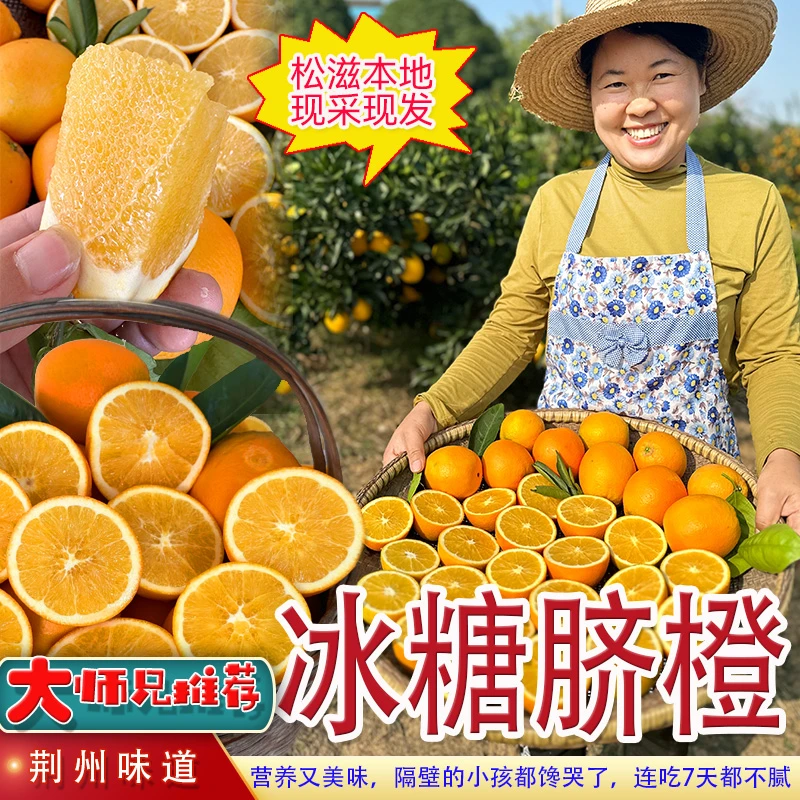 湖北松滋新鲜冰糖甜脐橙应当季水果