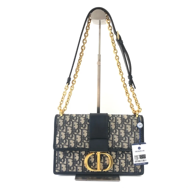 95新 DIOR/迪奥 安洁利严选 Dior帆布刺绣蒙田单肩包 WHZ410084H