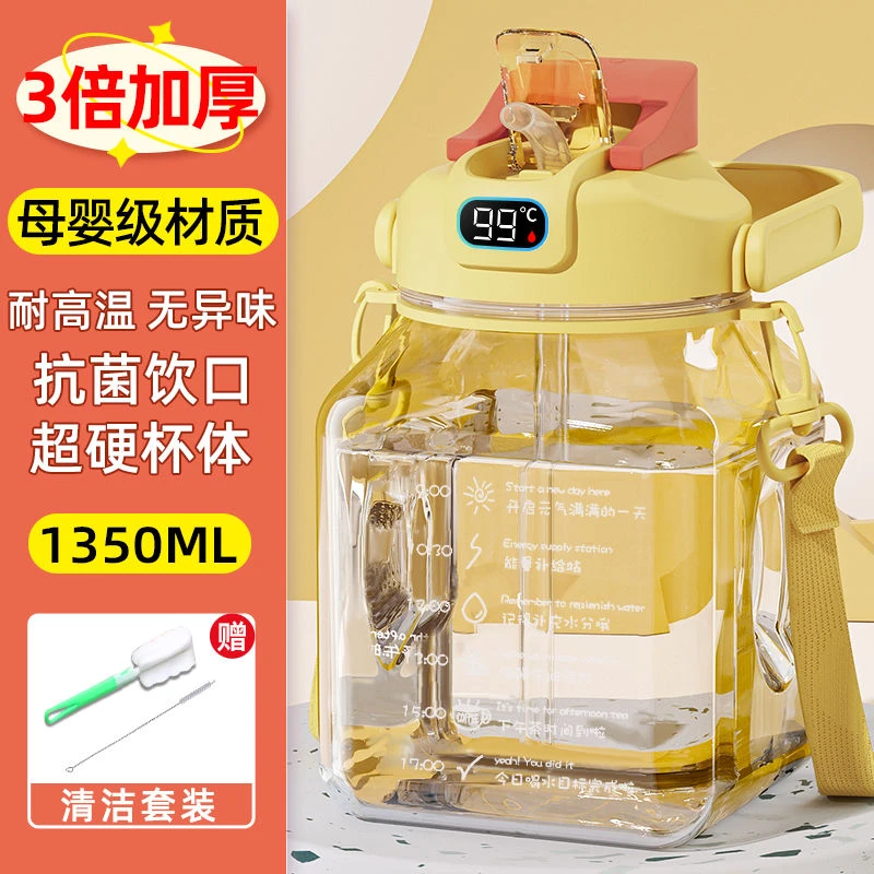 2024新款大容量耐高温网红双饮水杯女士专用大肚杯儿童高颜值水壶