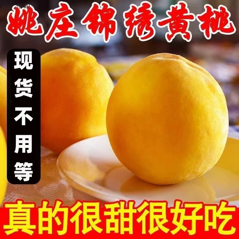 现货速发正宗嘉善姚庄锦绣黄桃新鲜水果纯甜红心脆大桃子整箱礼盒