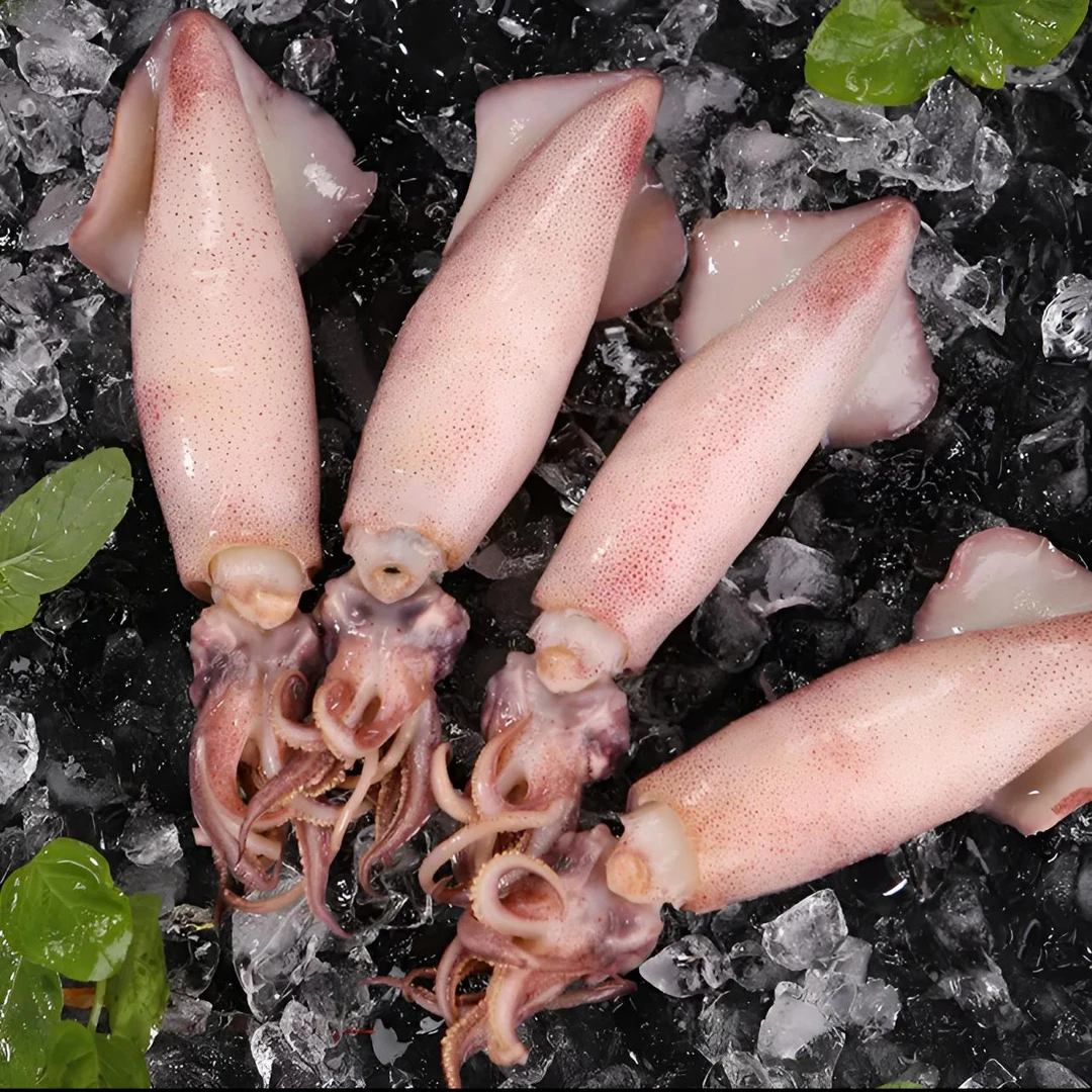 新鲜海捕全籽海兔籽乌拍2送2到手4斤带保护冰衣10只/包 （4包40只）