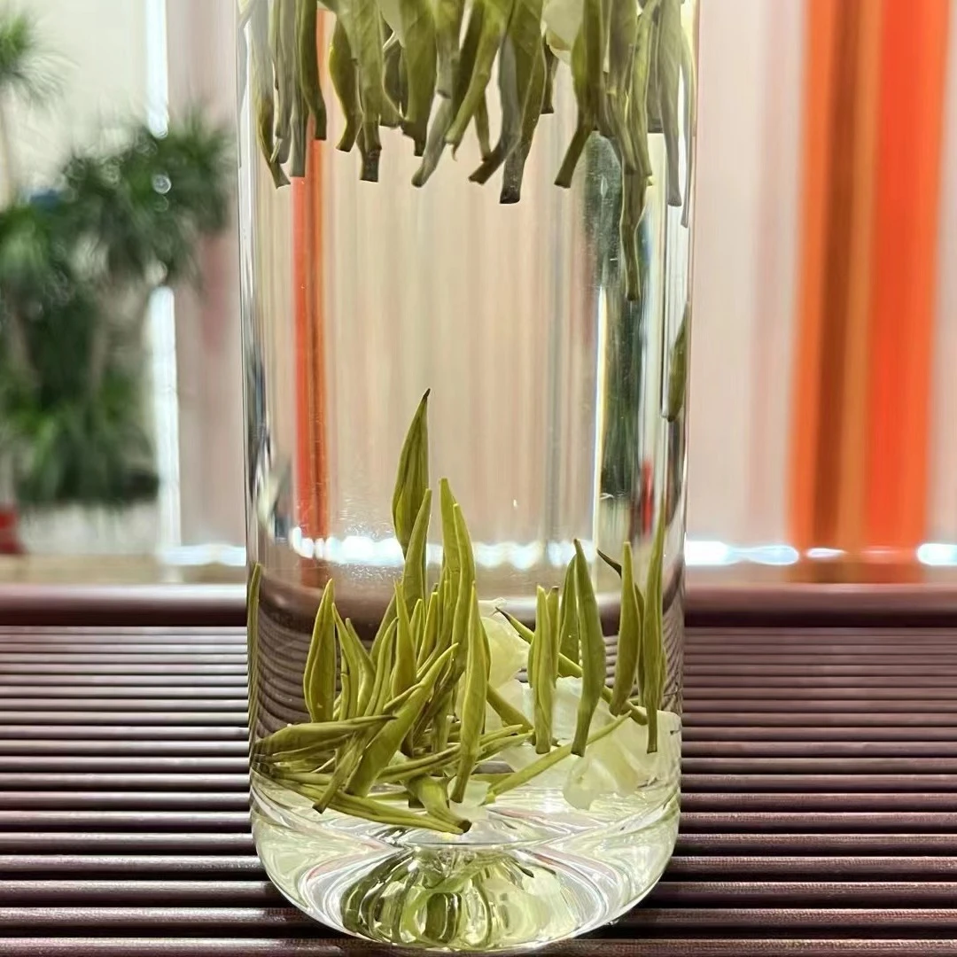 2025茉莉兰雪小芽头