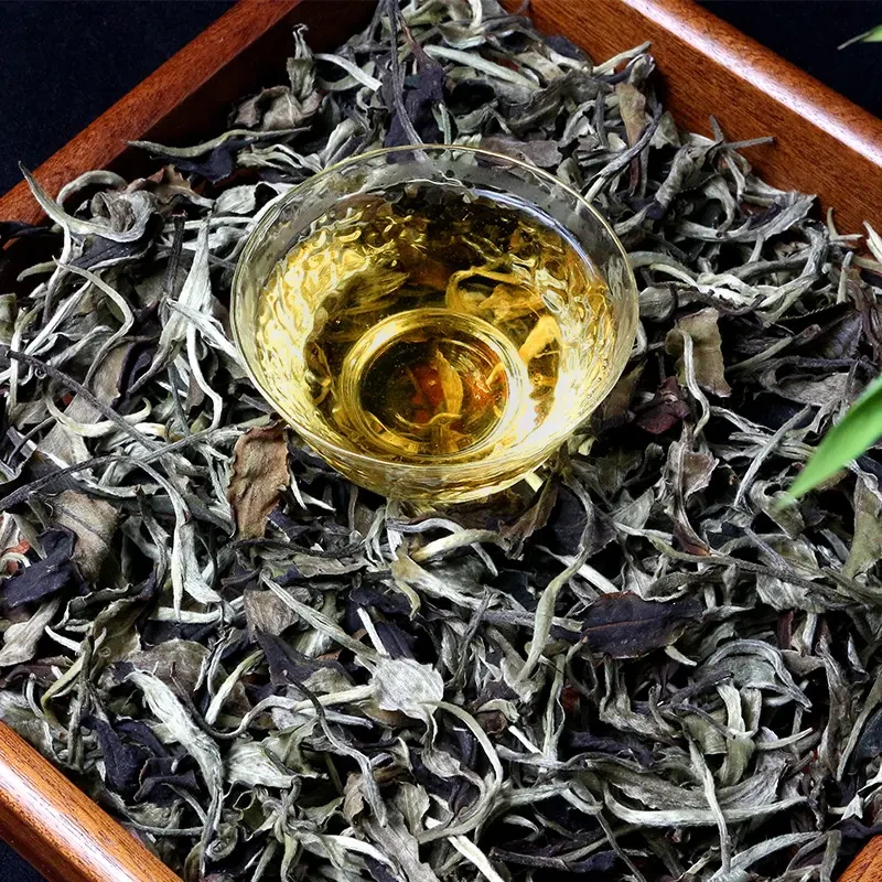 2024年 《福气白茶》 普洱白茶