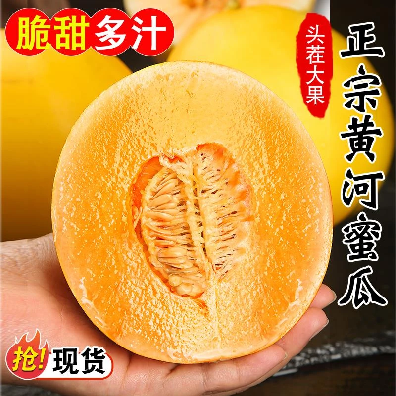 黄河蜜瓜新鲜当季水果香瓜甜瓜产地直发孕妇多汁水果黄金小蜜瓜