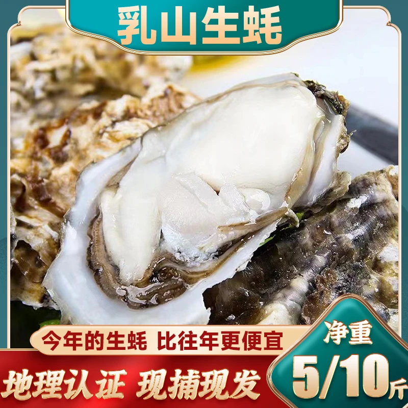【秋哥专属】牡蛎乳山生蚝鲜嫩肥美海蛎子包邮海鲜山东整箱发货