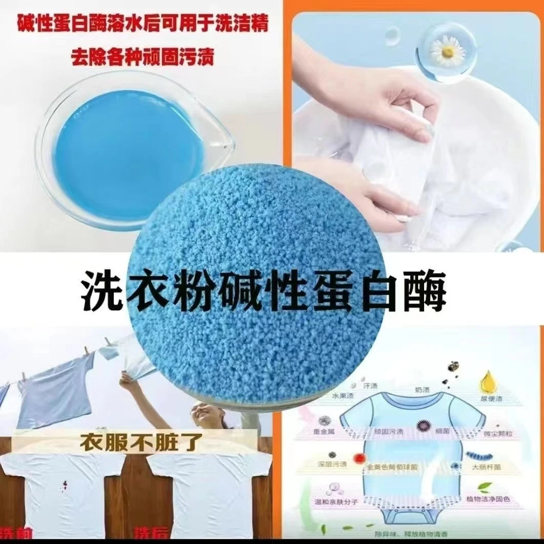 高效清洗颗粒家用碱性蛋白酶温和除异味亲肤速溶持久深层去污柔顺