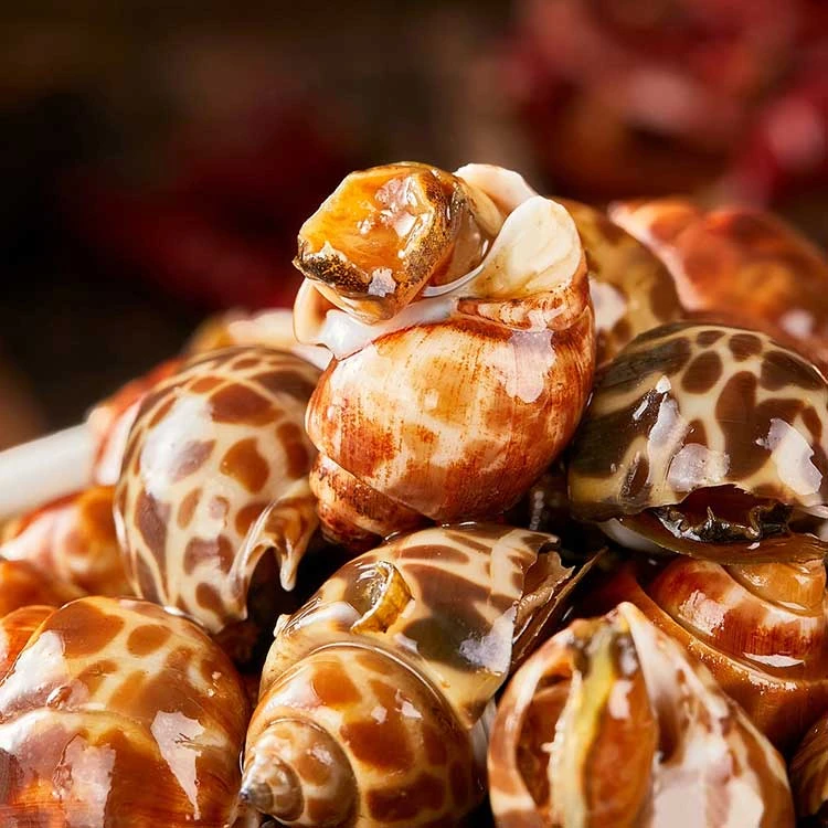 【3袋装】麻辣花螺海鲜炒大花螺捞汁开袋即食海瓜子香辣小海鲜