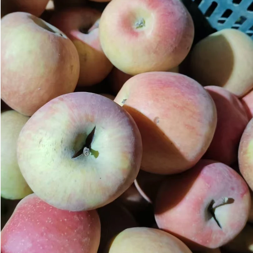 正宗新疆阿克苏冰糖心苹果裂口扎伤果轻微瑕疵脆甜多汁不影响口感