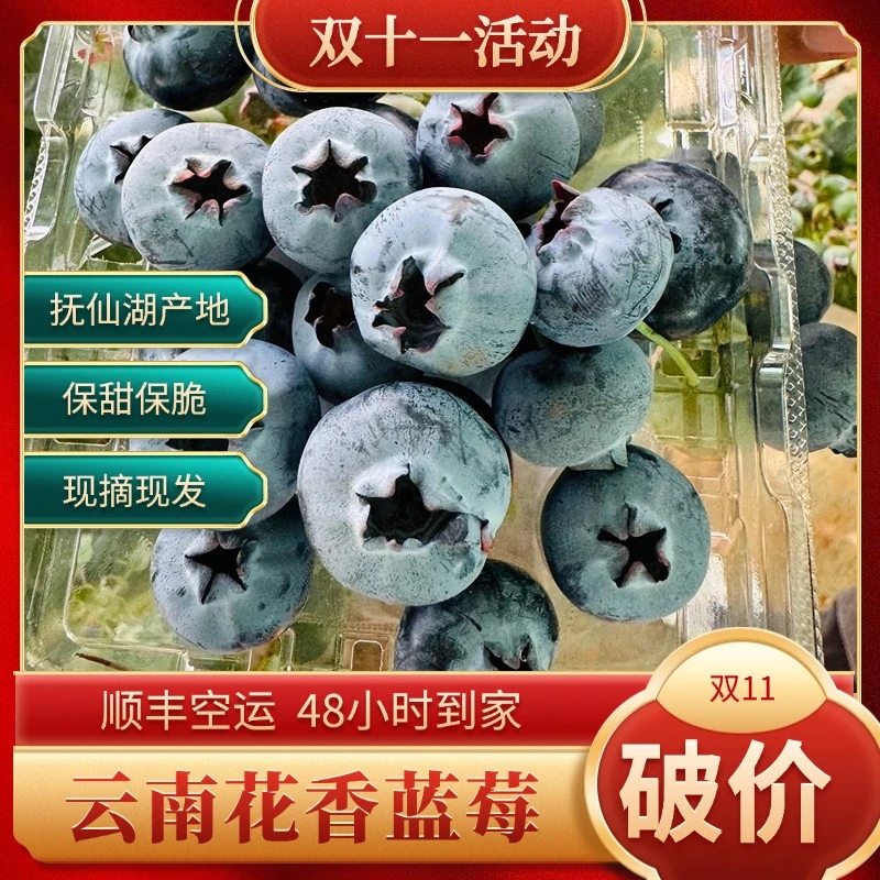 【双11专属】云南澄江保甜保脆保生态花香蓝莓鲜果大果产地直发