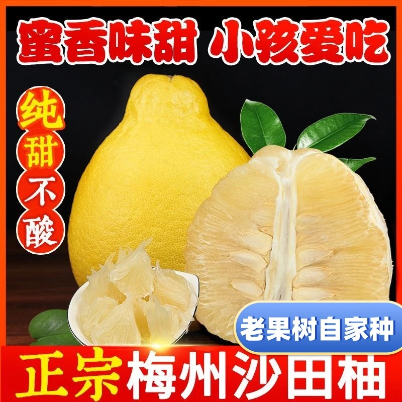 【严选纯甜精品】正宗梅州沙田柚新鲜当季水果梅县金柚皮薄孕妇可吃