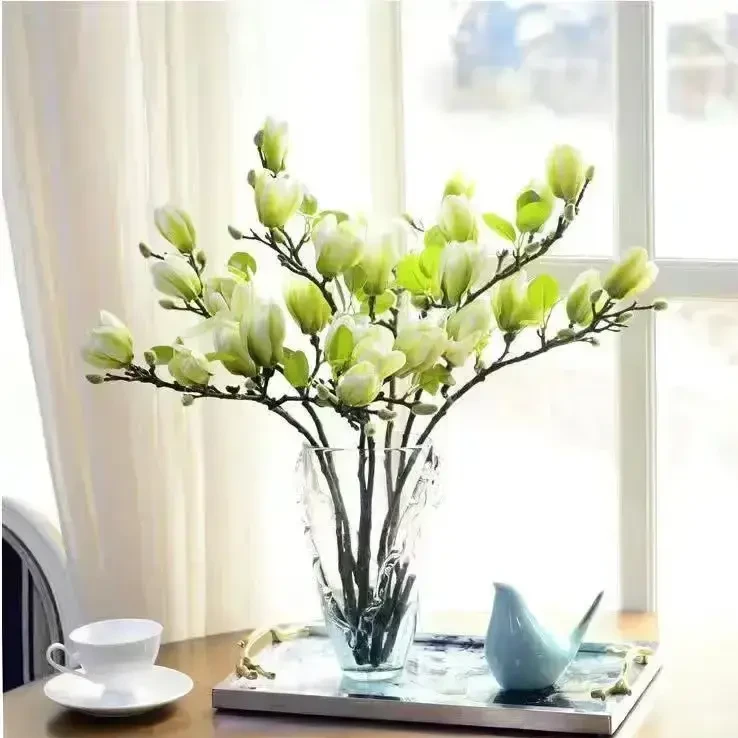 【年宵花枝】水培玉兰花卉室内水培客厅办公室内鲜切枝条桃花水绿植
