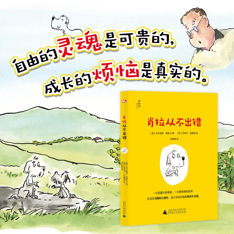 《肖拉从不出错》哲思桥梁书 哲思与风趣结合
