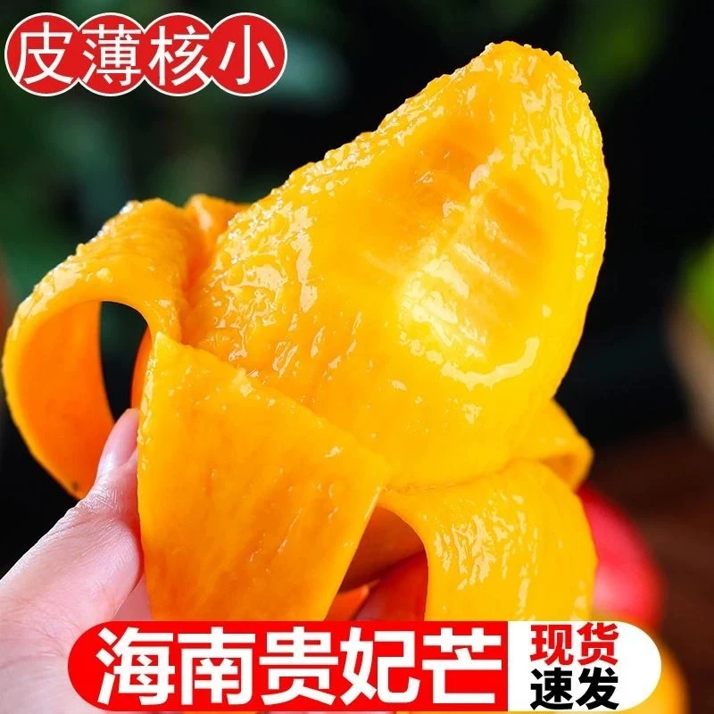 产地直发海南树上熟贵妃芒果新鲜水果核薄无丝彩虹芒甜5/9斤芒果