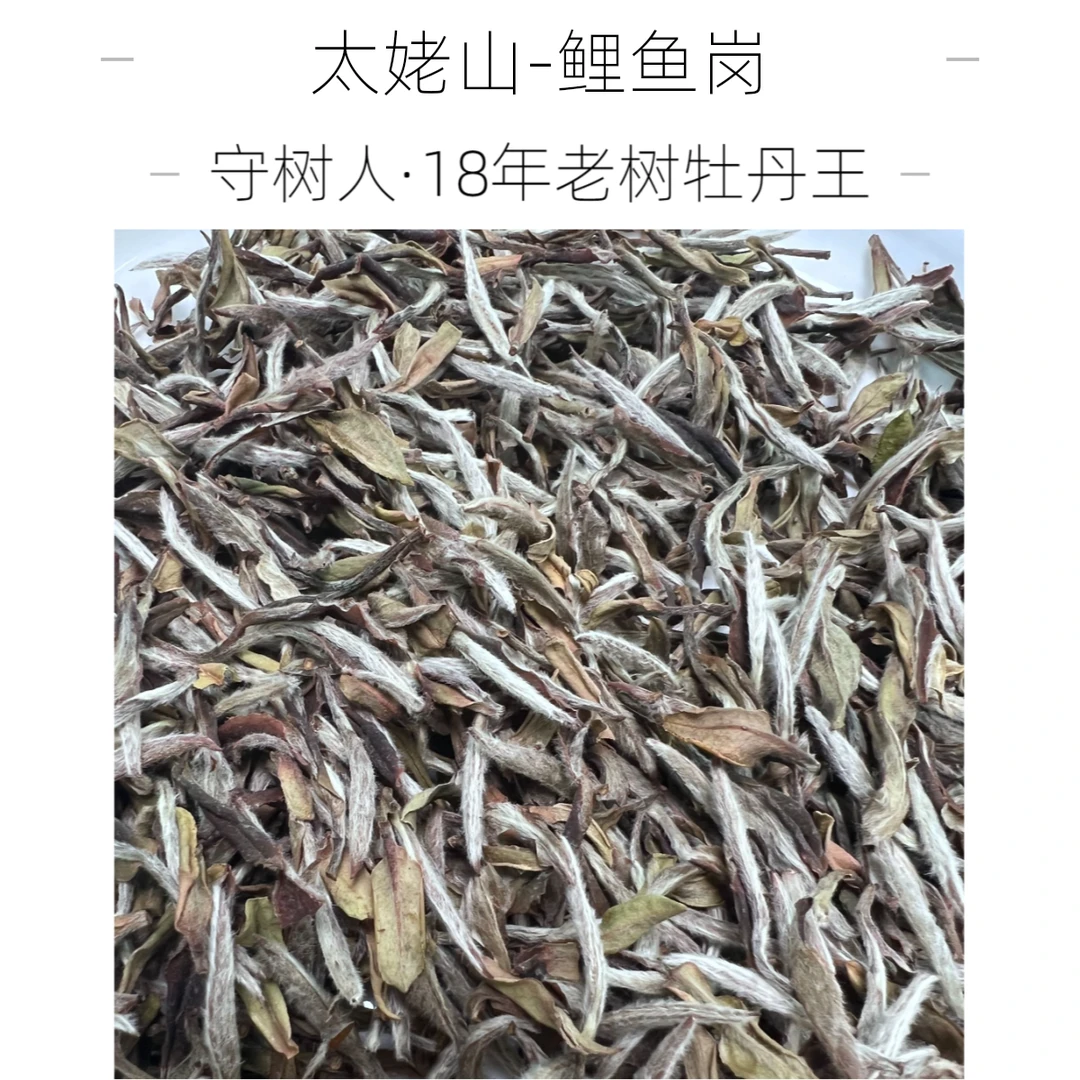 【臻玉严选】壹贞茶业 守树人 非遗 黎美圆制2018年荒野老树牡丹王