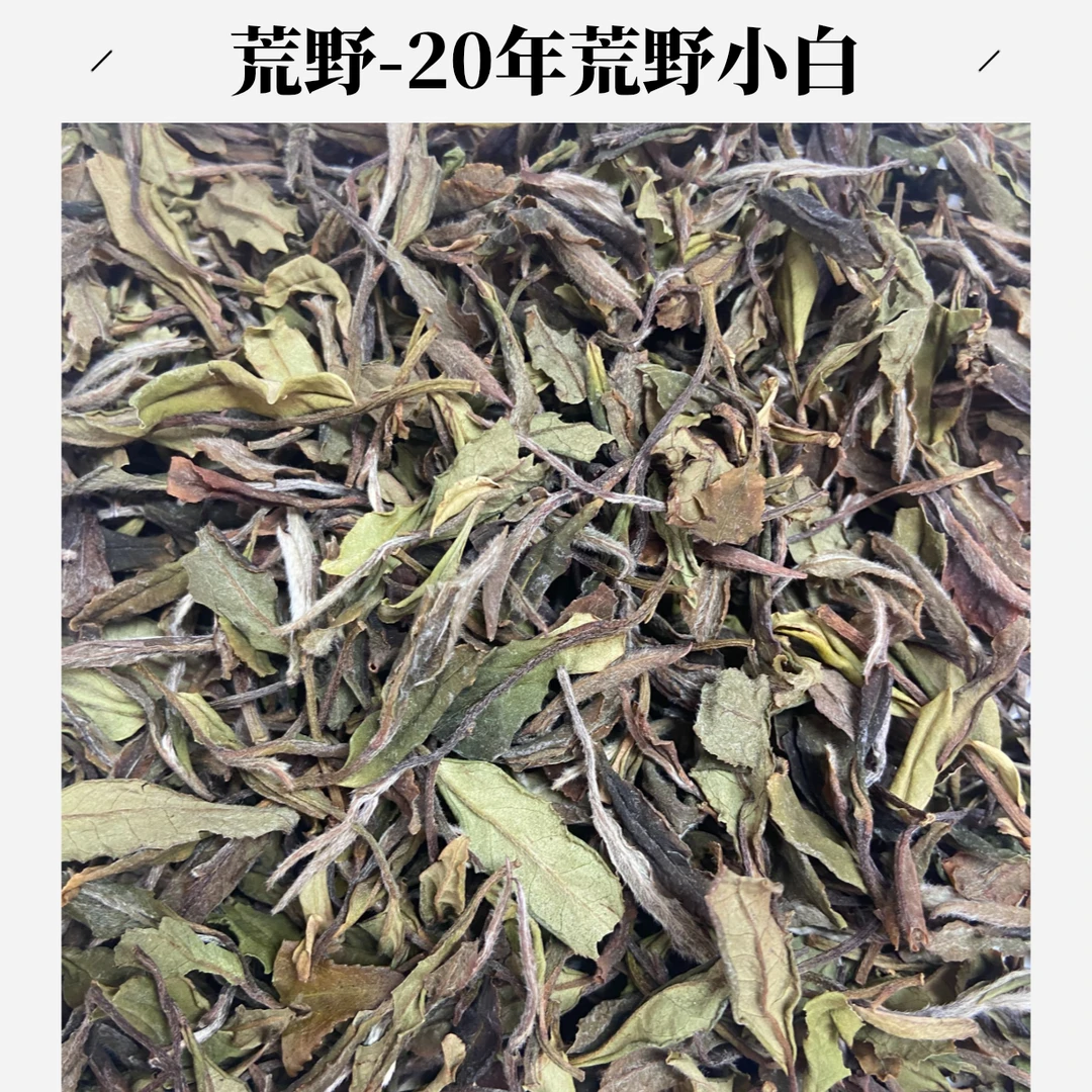 【臻玉严选】壹贞茶业 荒野 非遗黎美圆 野白 2020年荒野小白毫