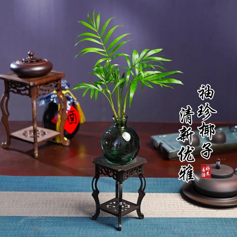 袖珍椰子盆栽办公室客厅四季常青绿植好养植物花卉盆景净化空气