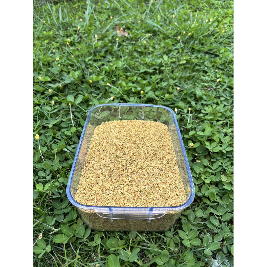 【娜娜推荐】现收土特产黄-金-蕊50克-100克-250克-500克食用农产品