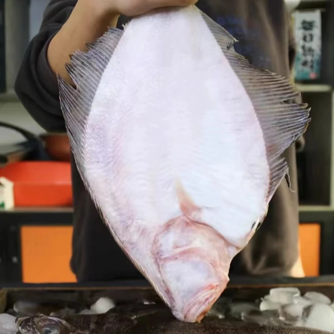 大连本地野生牙片鱼比目鱼直播间现场称重 (大小以直播间为主)