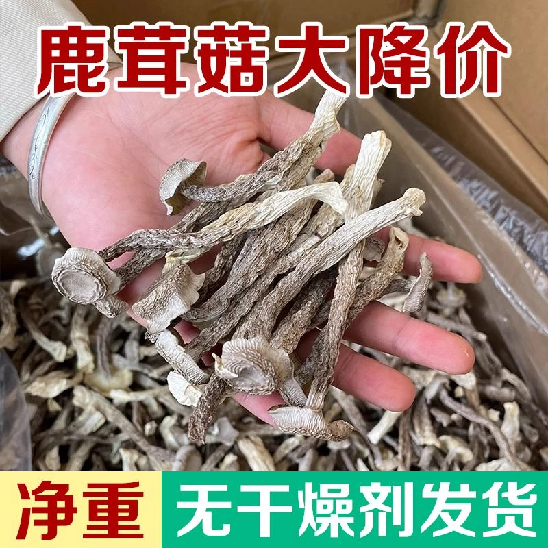 鹿茸菇净重500g农家特产蘑菇干货脆脆菇做法炒肉火锅煲汤食材100g