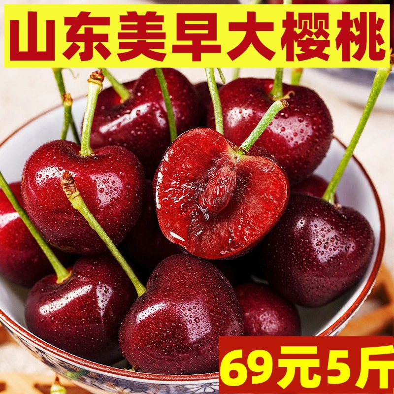 【绿色认证】山东大樱桃新鲜水果脆甜美早车厘子3/5斤空运包邮j