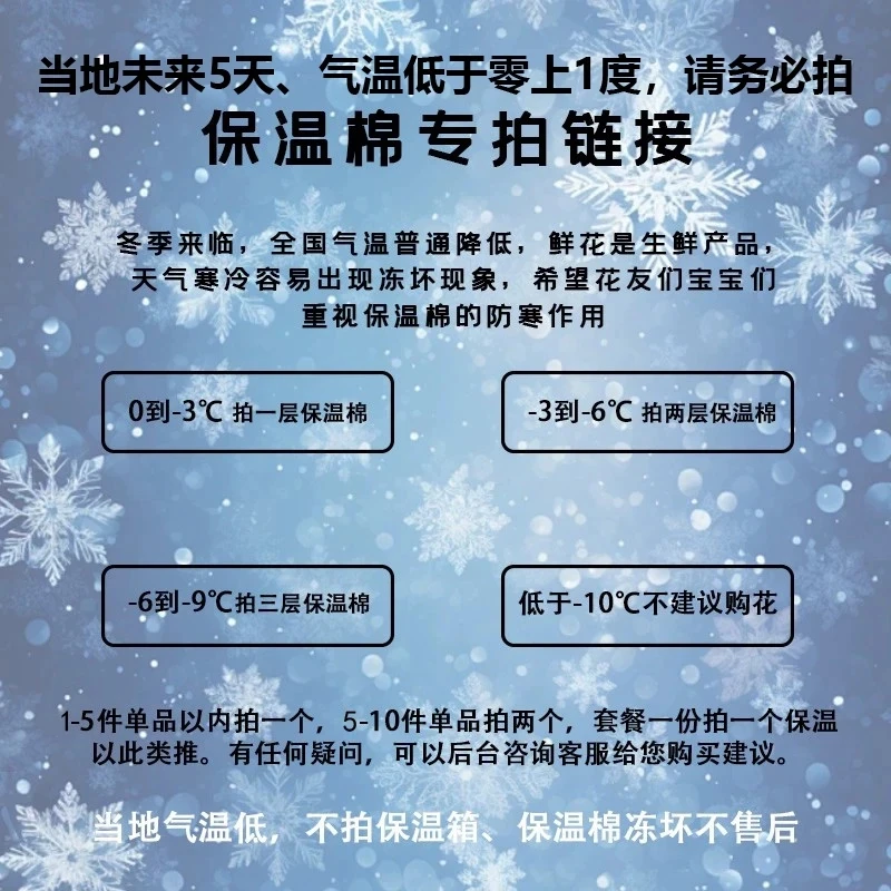 【鲜花保温棉】当地气温低于+2度不拍保温棉加厚冻坏不售后防寒