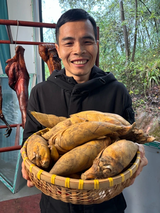 乡里野生新鲜冬笋