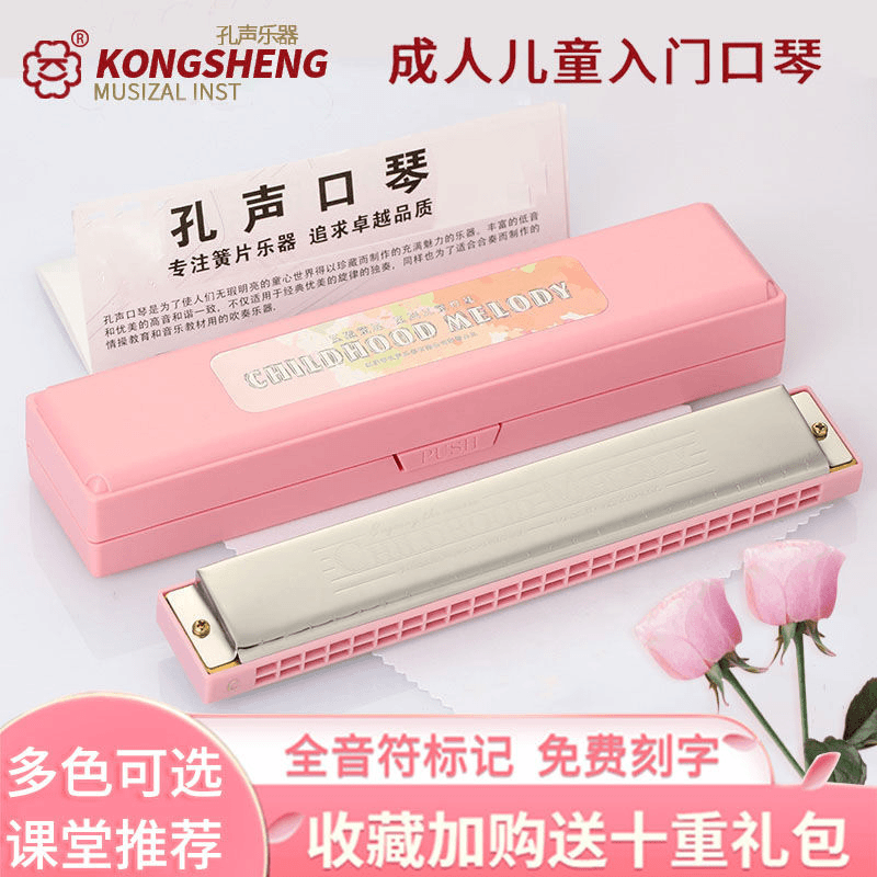 孔声口琴24孔复音C调学生儿童 成人初学者口琴入门练习自学乐器