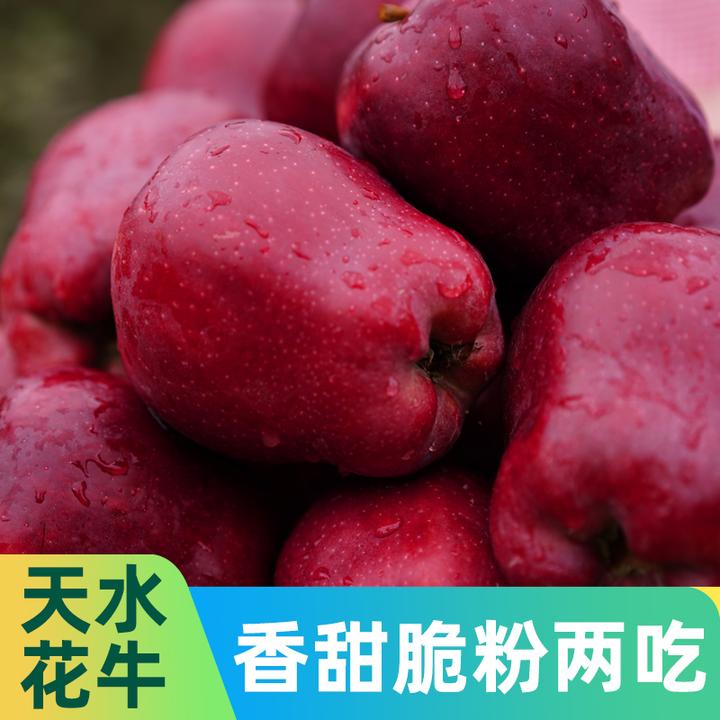2026年新果天水红蛇花牛苹果蛇果现摘不打蜡冰糖心脆粉花牛苹