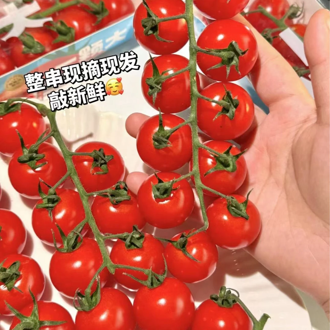 【1斤】糖果小番茄（盒装）一盒约0.5kg